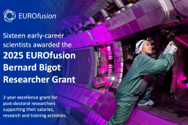 EUROfusion Researcher Grant 2025