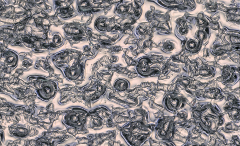 Jos Scholte used a 3D-printer from industrial partner Dunlee to create a capillary porous structure out of tungsten: a sponge for liquid metal. This microscope image shows smooth, solidified flows of the metal lying on top of the 3D-printed (ridged) tungsten. Credit: Jos Scholte