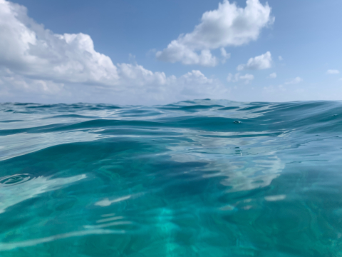 With the SaltCat project researcher Khossossi aims to identify whether specific seawater ions and catalyst combinations can improve hydrogen production © Shutterstock